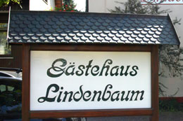 Lindenbaum Salem Bodensee